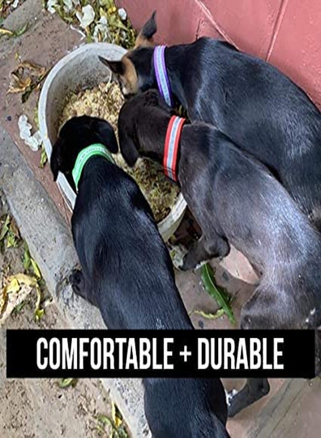 BLESSING PET SUPPLY Pack of 5 PCS Dog Reflective Neck Collar (Packs of 5 PCS) - Image 5